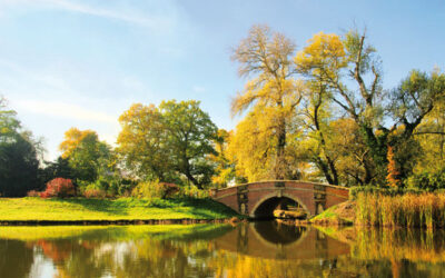 Fr.29.05.2026 Bärwalder See & Blütenzauber