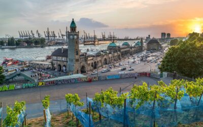 Fr. 23.10. – So.25.10.2026 Hamburg entdecken  – Musicals erleben