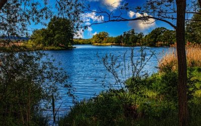 So.09.08.2026 Bad Saarow – Scharmützelsee