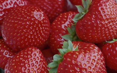 Sa.06.06.2026 Erdbeerfest im Fichtenhäusel Bärenstein/Erzgebirge