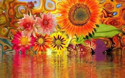 Sa.07.03.2026 Blütenzauber im Dresdner Palais